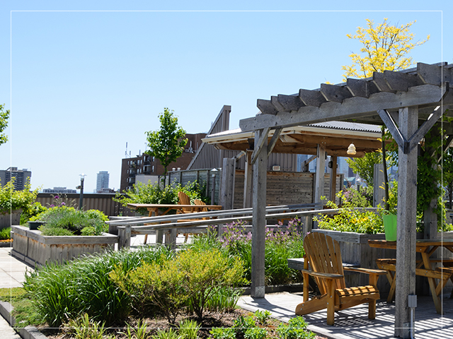 Rooftop Landscape