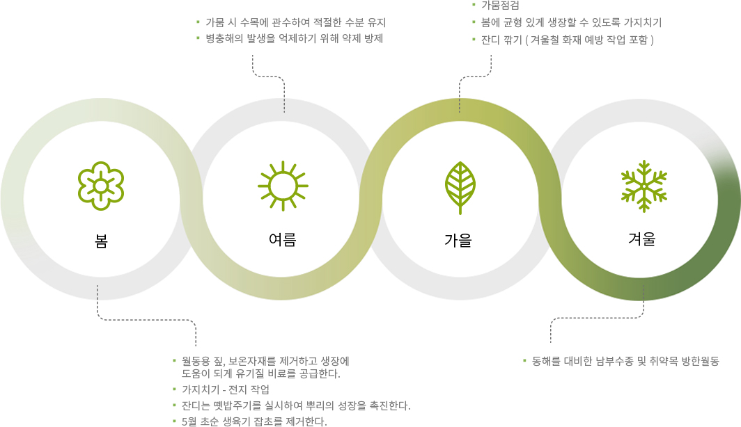 계절별 수목 관리 개요